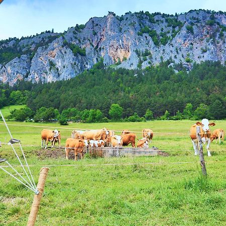 Glamping Hohe Wand - Zelt Mit Sternenfenster Und Whirlpool Hotel Maiersdorf Екстериор снимка