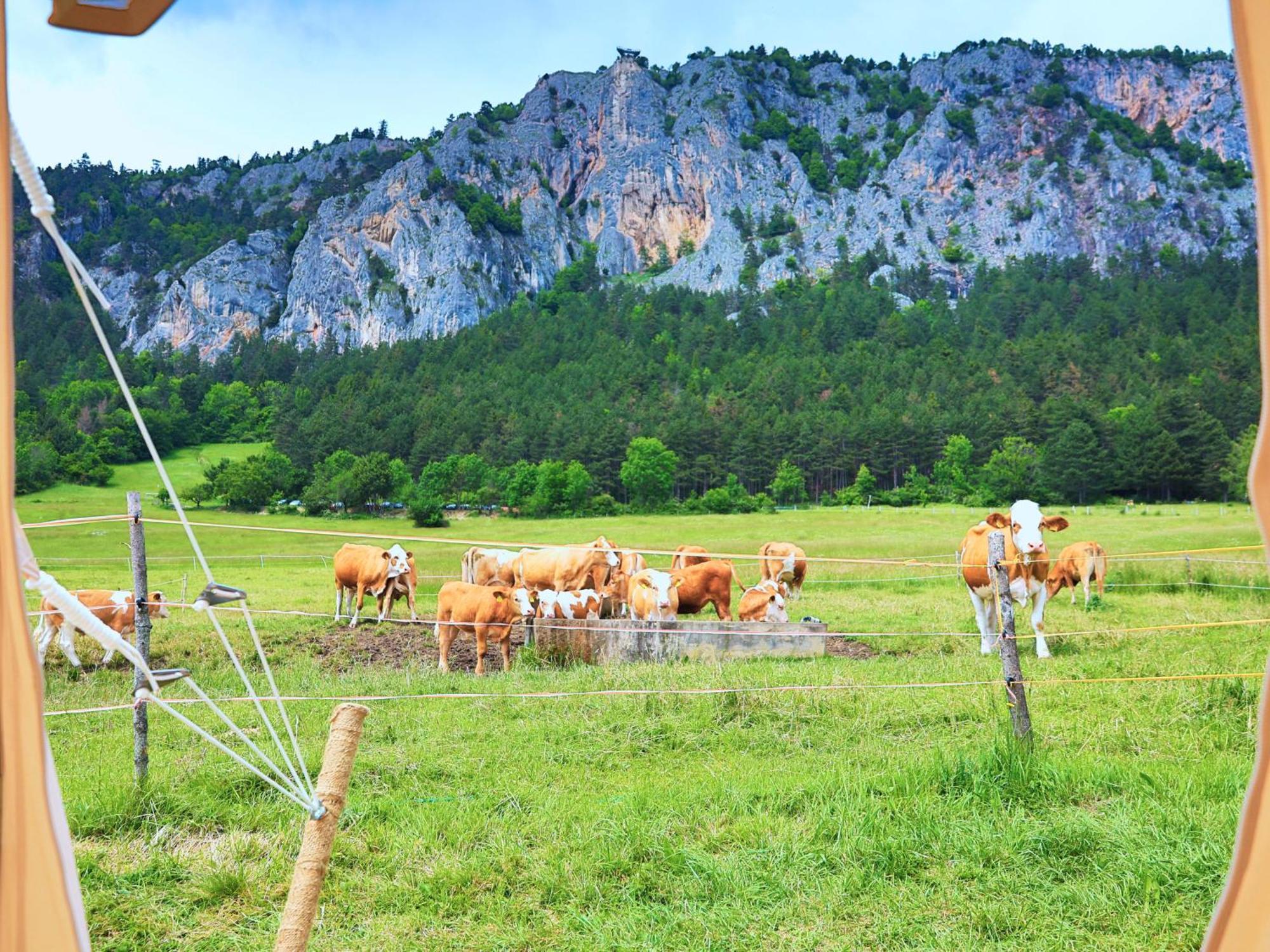 Glamping Hohe Wand - Zelt Mit Sternenfenster Und Whirlpool Hotel Maiersdorf Екстериор снимка
