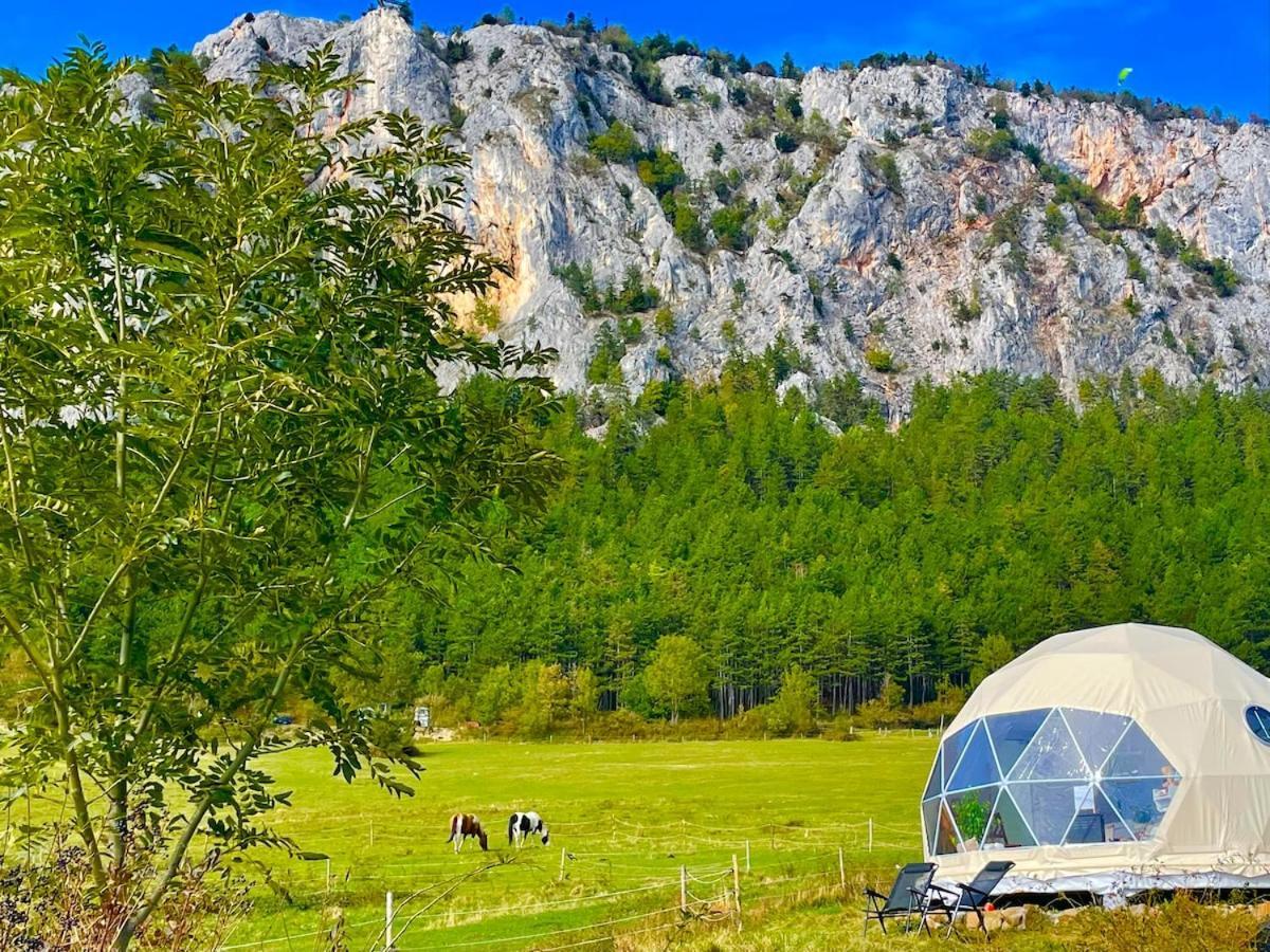 Glamping Hohe Wand - Zelt Mit Sternenfenster Und Whirlpool Hotel Maiersdorf Екстериор снимка